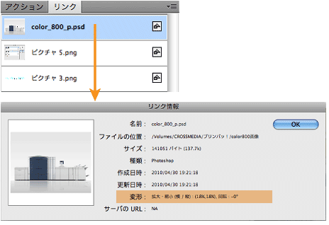 拡大率